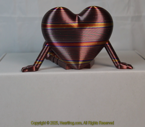 Multicolor Tight Rainbow, DOB: 12/31/2024 Size: 150mm - Image 4