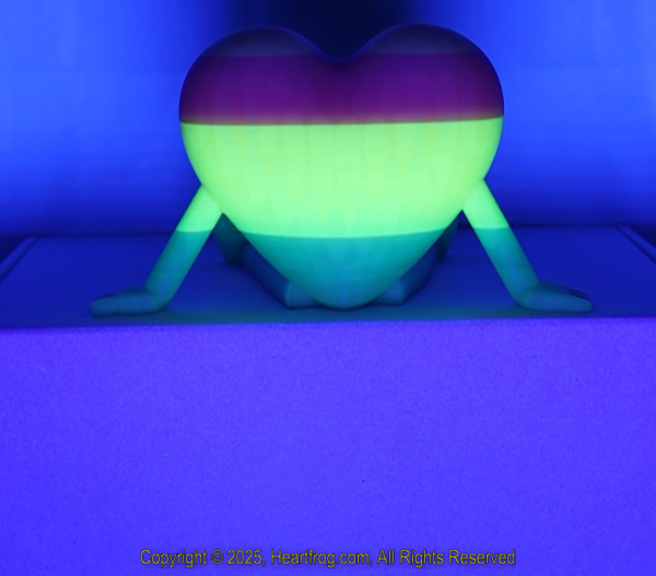 Yellow (Fluorescent) Red Green Striped, DOB: 01/02/2025 Size: 150mm - Image 6
