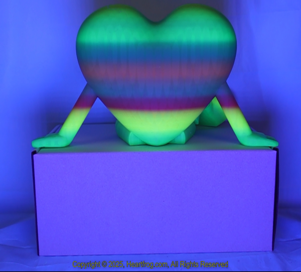 Fluorescent Rainbow Multicolor Size: 235mm - Image 6