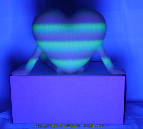 Rainbow Glow In The Dark Size: 235mm - Image 4