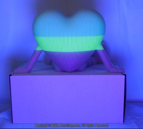 Rainbow Glow In The Dark Size: 235mm - Image 2