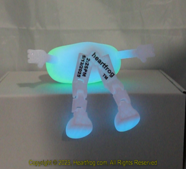 Rainbow Glow In The Dark, DOB: 05/13/2025 Size: 150mm - Image 4