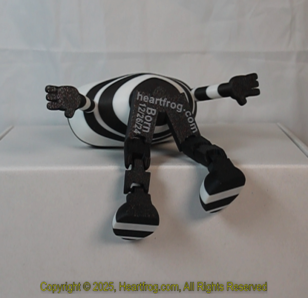Black White Striped, DOB: 12/26/2024 Size: 150mm - Image 3