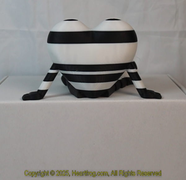 Black White Striped, DOB: 12/26/2024 Size: 150mm - Image 4