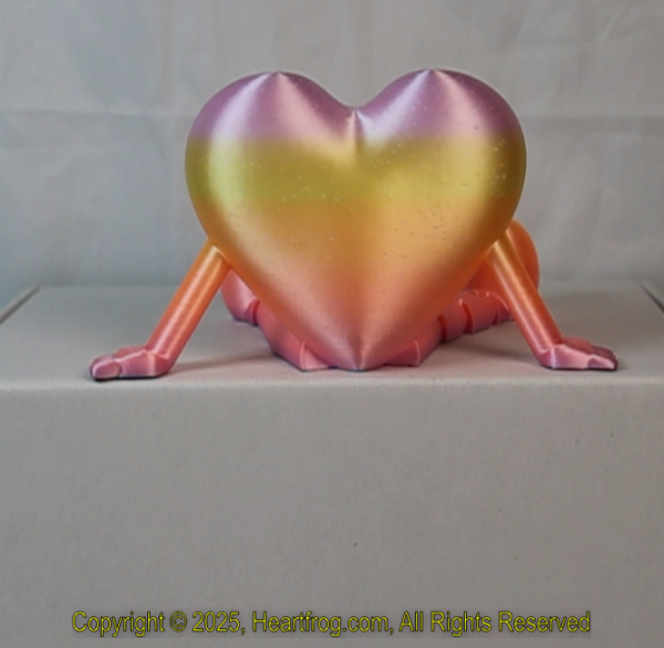 Romantic Rainbow, DOB: 01/12/2025 Size: 150mm - Image 4