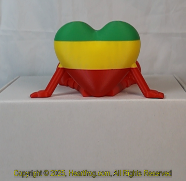 Rasta Striped, DOB: 12/28/2024 Size: 150mm - Image 4
