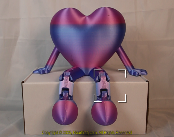 Blue Pink Rainbow (Handicapped/50% Donation), DOB: 01/04/2025 Size: 235mm