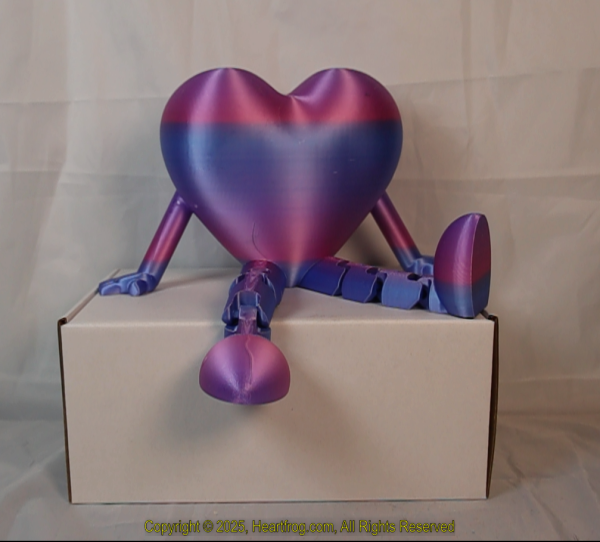 Blue Pink Rainbow (Handicapped/50% Donation), DOB: 01/04/2025 Size: 235mm - Image 2
