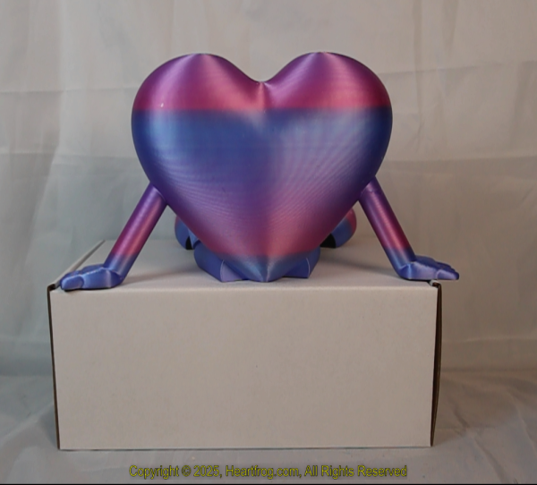 Blue Pink Rainbow (Handicapped/50% Donation), DOB: 01/04/2025 Size: 235mm - Image 4