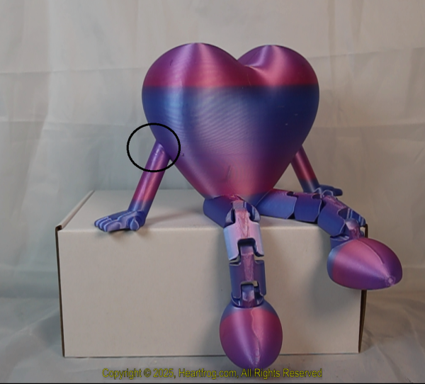 Blue Pink Rainbow (Handicapped/50% Donation), DOB: 01/04/2025 Size: 235mm - Image 5