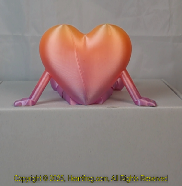 Romatic Orangy Pink Rainbow, DOB: 05/17/2025 Size: 150mm - Image 4