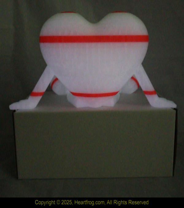 Glow In Dark Green Red (light Glow in Dark), DOB: 01/24/2025 Size: 235mm - Image 6