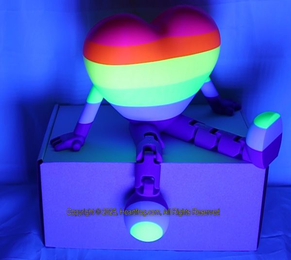 Diverse Community Fluorescent Striped, DOB: 05/26/25 Size: 235mm - Image 3
