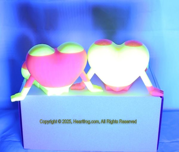 Fluorescent Orange Yellow Stripes, Family Set (2) born a day apart, DOB: 05/24/25 and 05/25/25, Size: 150mm - Image 4